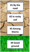 4 kinds of soil