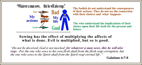 Galations 6:7-8 uses a diagram to show the difference between the foolish and the wise through the reap and sow principle.