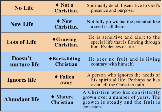 Stages of Spiritual Life