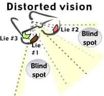 Distorted vison with blind spots
