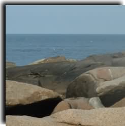 Gloucester Coastal Rocks