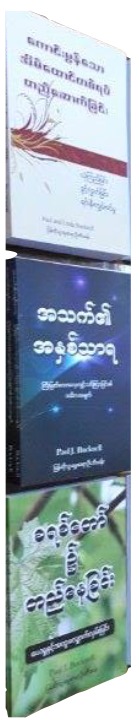 Burmese books