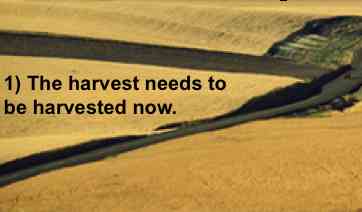 The harvest needs to be harvested now! luke 10:1