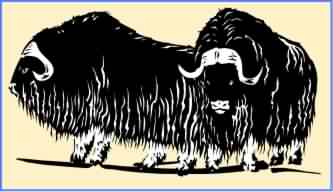 define yoke of oxen clipart