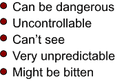 Can be dangerous Uncontrollable Can't see Very unpredictable Might be bitten