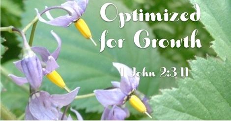 Optimized for Spiritual Growth