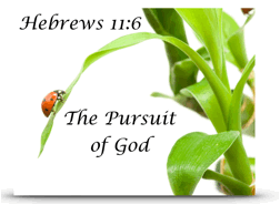 Hebrews 11:6 The pursuit of God