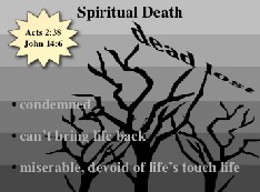 Spiritual Death  and conclusions