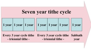 7 year cycle Jewish