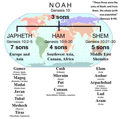 The Genealogy Of Noah Chart