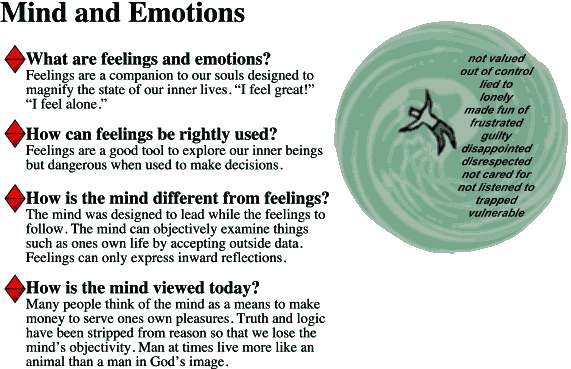 Mind, Feelings and Emotions - How feelings relate to our minds