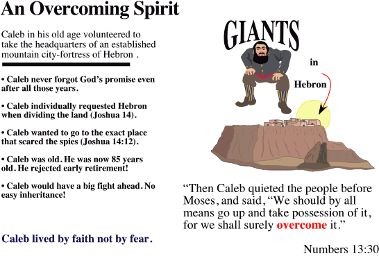 An Overcoming Spirit:  Caleb