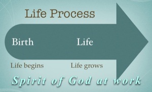 Spiritual Life process