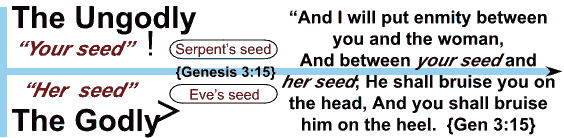 Genesis 3:15 Chart Two Seeds: Serpent's seed and Eve's seed.