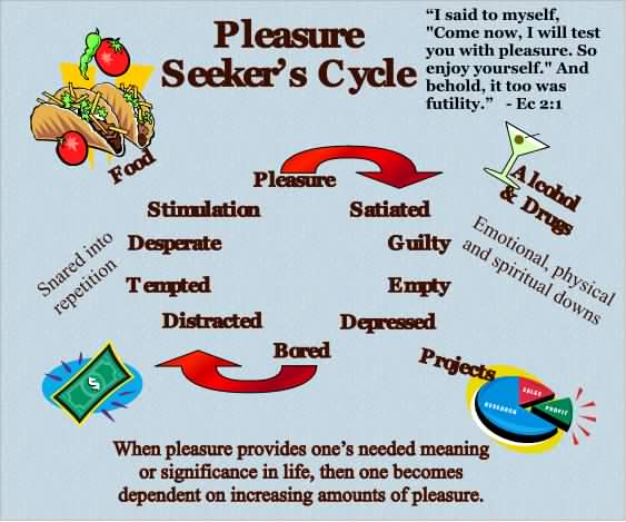 Pleasure Seeker's Cycle