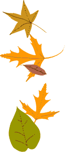 Falling leaves describes the principle of decrease before increase.