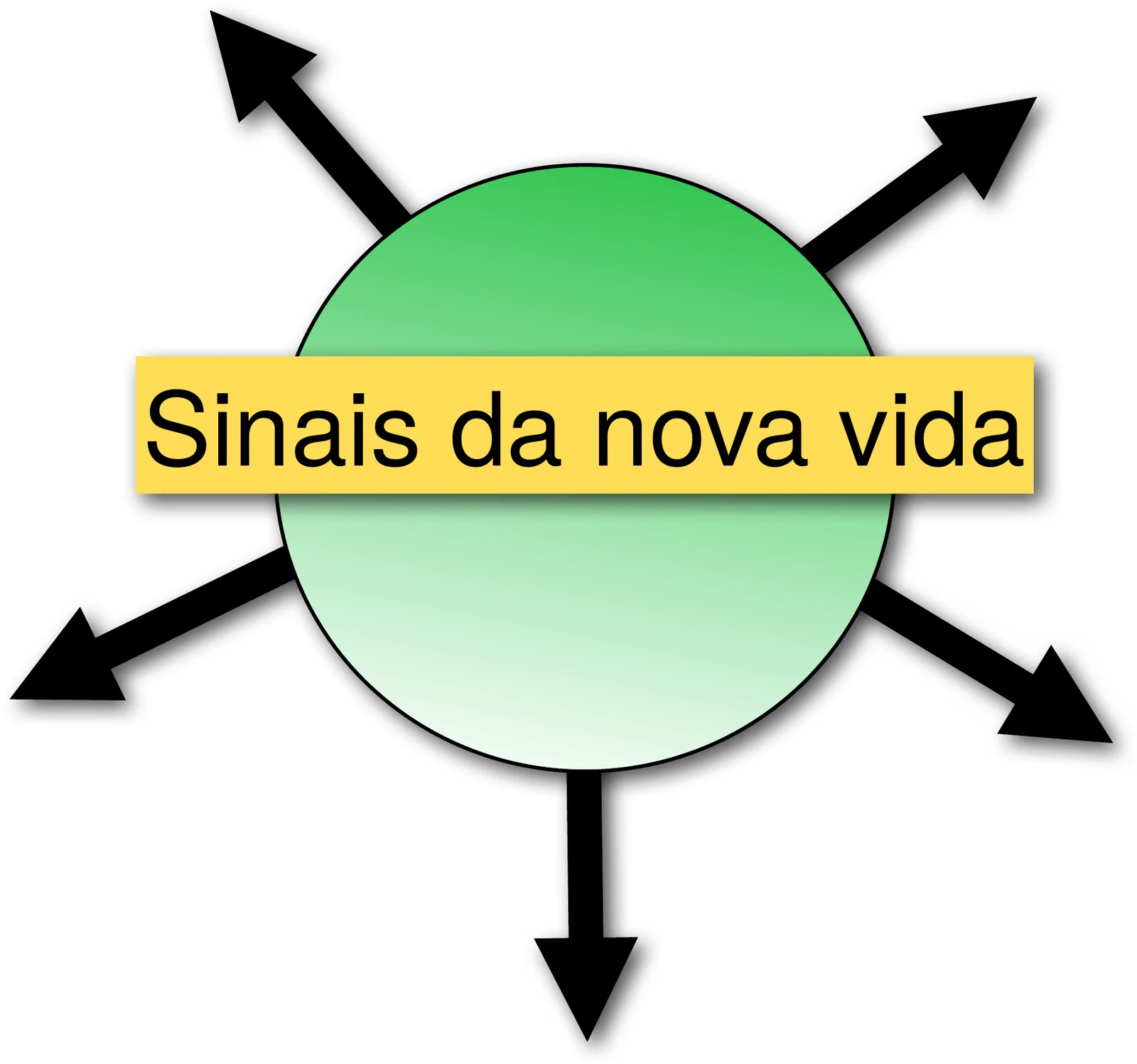 Ilustração do capítulo 6: Sinais da Nova Vida