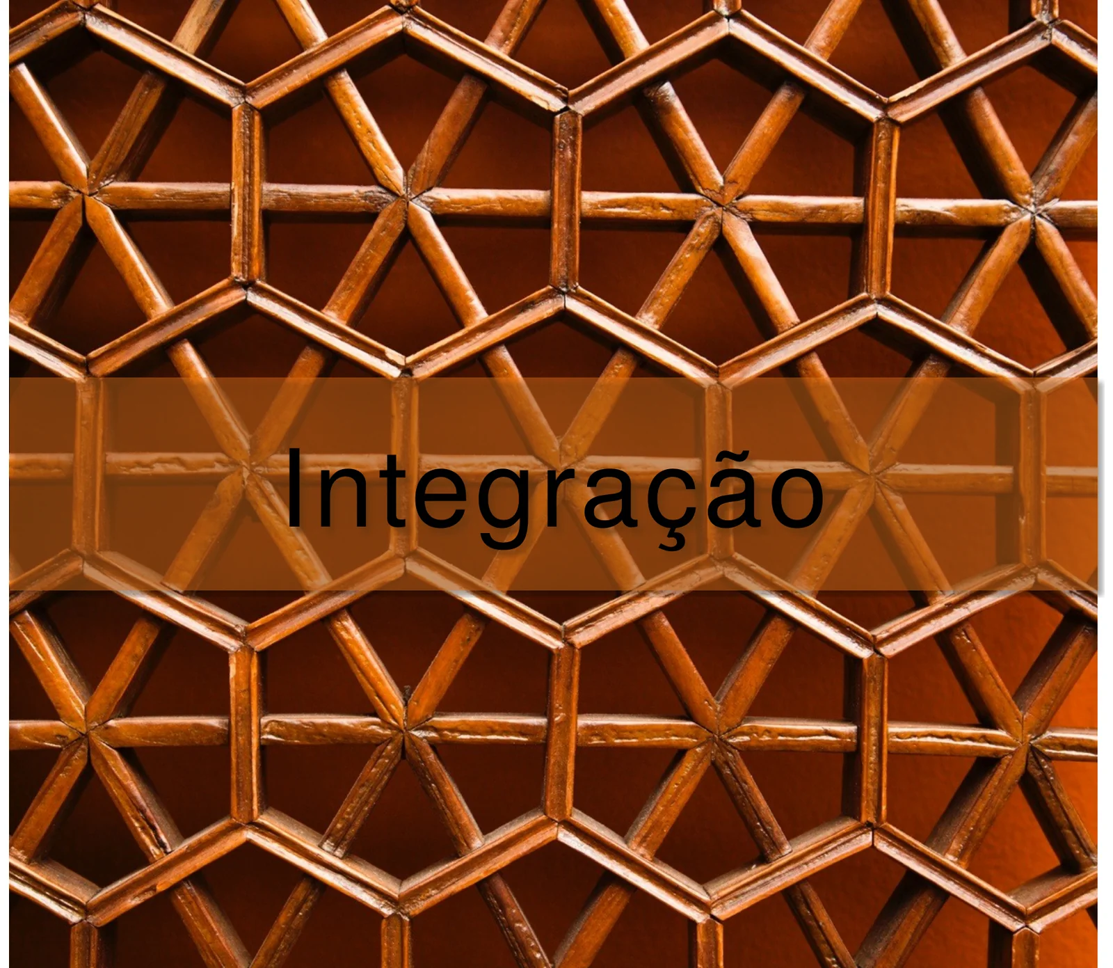 Ilustração: A Integração nas Escolas de Treinamento