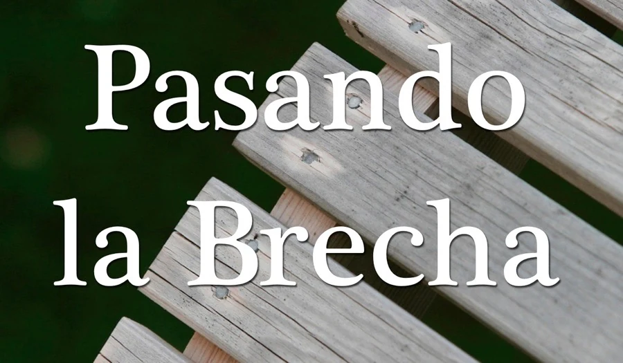 Ilustración sobre Cerrar la brecha — El Núcleo de la Vida