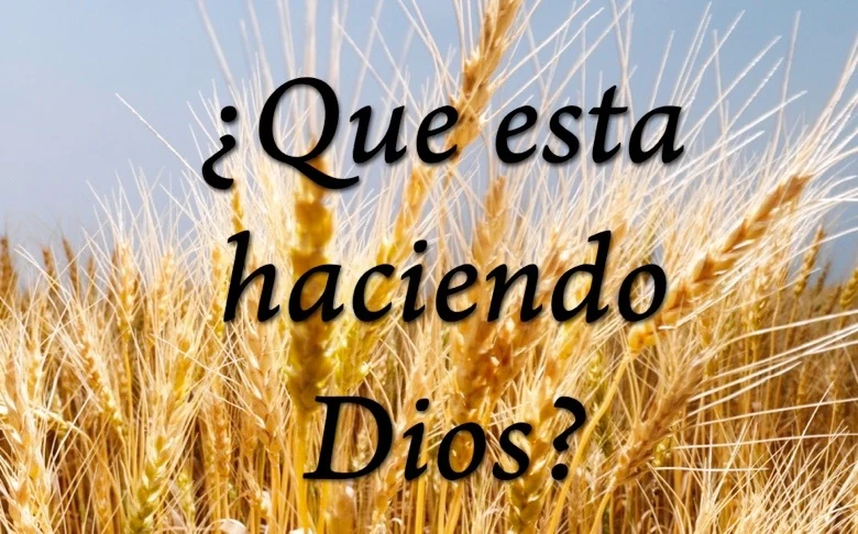 Ilustración sobre Metas y fruto — El Núcleo de la Vida