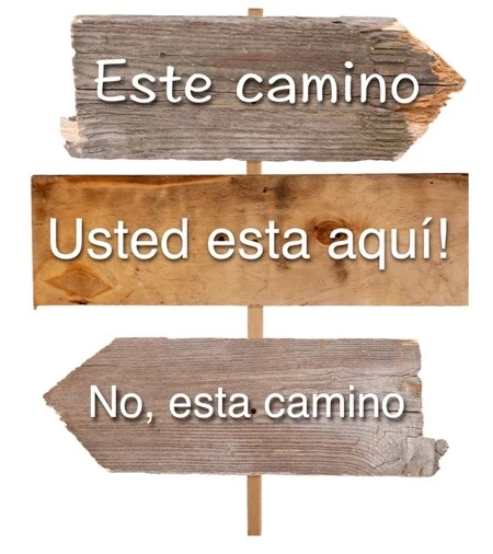 Ilustración sobre En busca de dirección — El Núcleo de la Vida