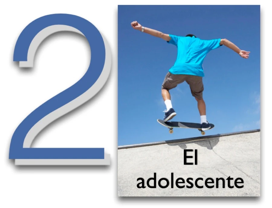 Ilustración sobre El joven — etapa 2 — El Núcleo de la Vida