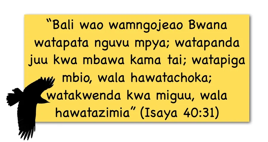 Kiini Cha Maisha illustration from page 46