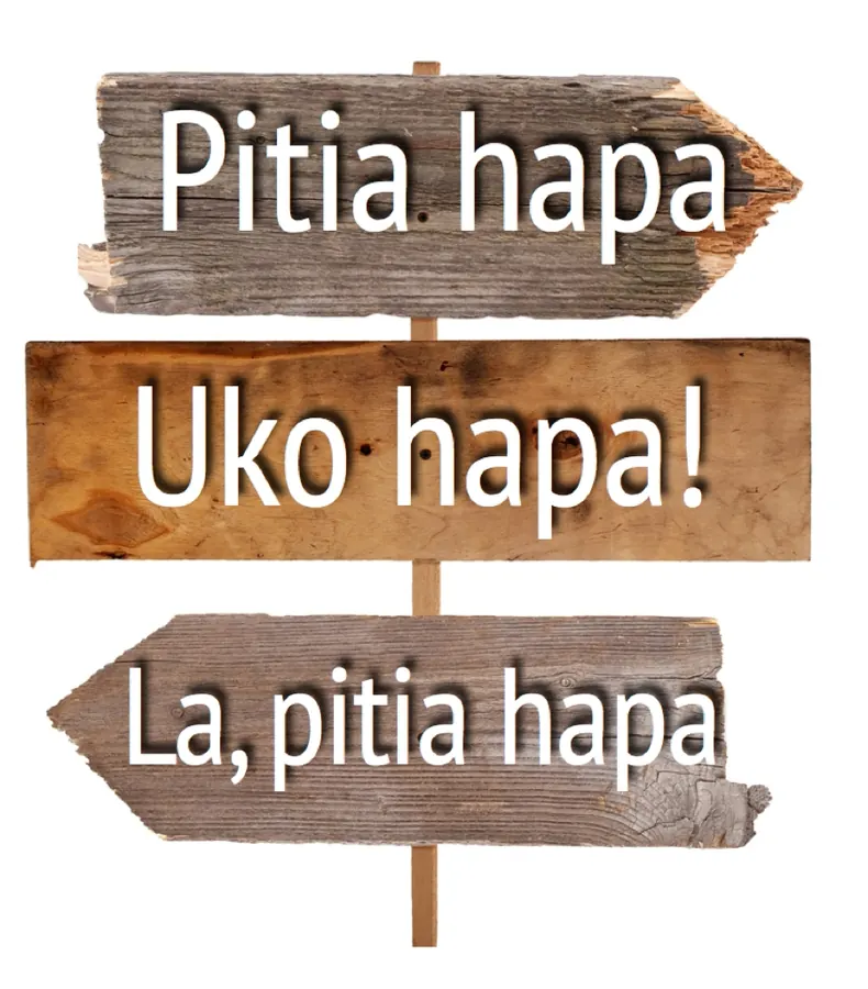Kiini Cha Maisha illustration from page 71