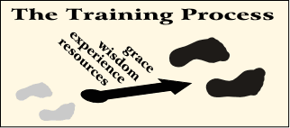 The Training Process