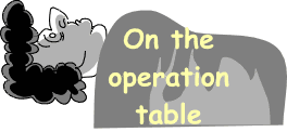 On the Operation Table